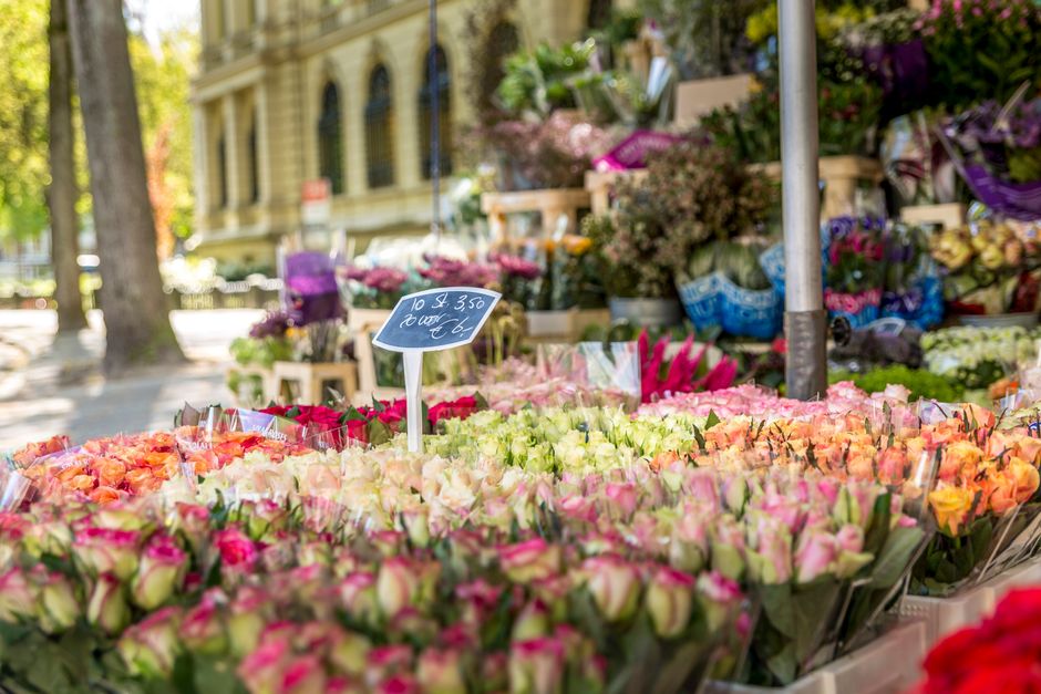 A vibrant outdoor flower market featuring numerous bouquets of fresh roses in shades of pink, peach, and cream, displayed on tables under a canopy. The flowers are wrapped in clear and patterned paper