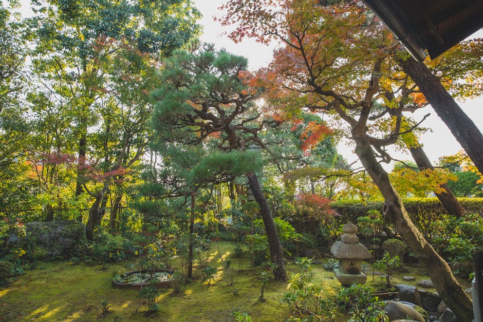 A tranquil Kyoto Garden with lush greenery and a variety of trees showcasing autumn foliage in shades of green, orange, and red. The scene includes a traditional Japanese stone lantern situated among