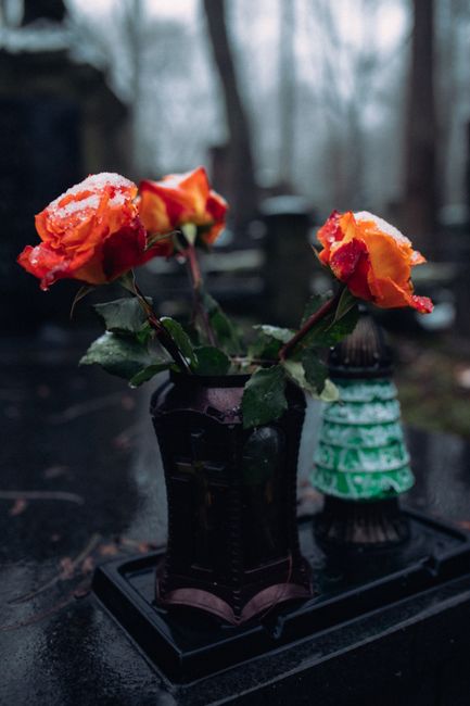 A close-up of three vibrant orange roses with slightly ruffled petals and dewdrops on their surfaces, arranged in a glossy black vase with a subtle textured pattern. The roses have fresh, green stems 